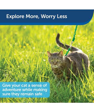 PetSafe Come with Me Kitty Harness & Bungee Leash - Medium Electric Lime Green | Ideal for International Pet Travel - Buy Online on GoSupps.com