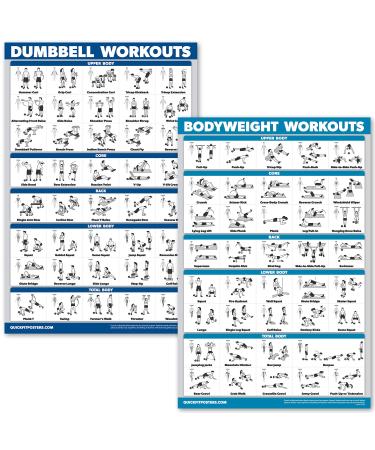 Quickfit dumbbell training and body weight exercise poster laminated 2 diagrams dumbbell training routine and body weight 45.7 x 68.6 cm - Buy Online on GoSupps.com