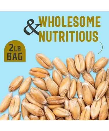 Organic Spelt Berries - Whole Grain Bulk Supply for Soups, Salads, Stews | High-Fiber, Vegan, Kosher | 4lbs Total - Buy Online on GoSupps.com