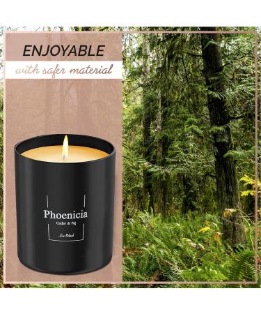 Relaxd Premium Cedar & Fig Scented Soy Wax Candle - Hand Poured Aromatherapy Essential Oil Candle (Phoenicia) - Buy Online on GoSupps.com