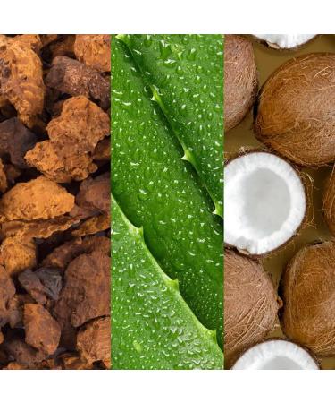 Mario Badescu Setting Facial Spray Mist with Aloe & Coconut Water Refreshing and Hydrating Makeup Spray Alcohol Fragrance Dye & Sulfate Free 8 Fl Oz (Pack of 1) - Buy Online on GoSupps.com