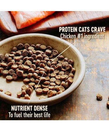 Wellness CORE Grain Free High Protein Dry Cat Food - Chicken & Turkey - 2lb - Natural Adult Cat Formula - Buy Online on GoSupps.com