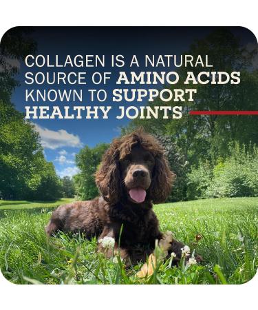 Redbarn Collagen Sticks X-Large Count of 25 Beef 4.2 Ounce (Pack of 25) - Buy Online on GoSupps.com