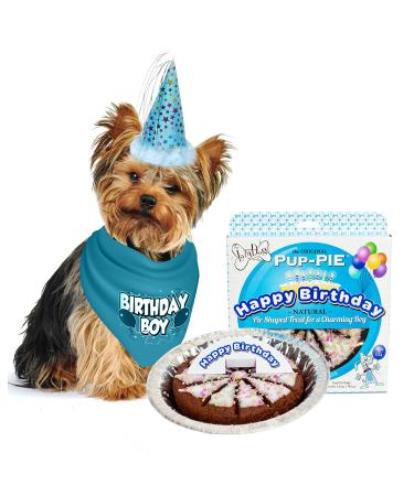 JT PET Dog Birthday Boy Party Pack with Bandana Star Spangled Party Hat with Adjustable Elastic Tassels and Feathery Trim and Vegan Birthday Pie Large Boy Dog Large