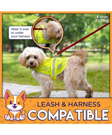 Orange Dog Safety Reflective Vest with Leash Hole - Lightweight XS High Visibility for Outdoor Activity SNAP LOCK BUCKLE Straps - Keep Your Dog Safe Day & Night - Buy Online on GoSupps.com