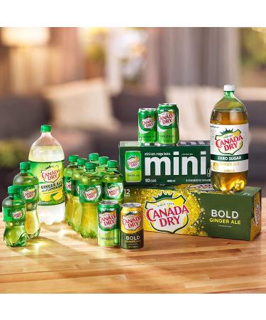 Canada Dry Bold Ginger Ale Mini Cans 7.5 fl oz - 6 Pack - Buy Online on GoSupps.com