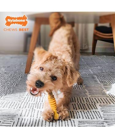 Buy Nylabone Flavor Beef and Cheese Bone - Small Brown & Yellow | International Shipping Available - Buy Online on GoSupps.com