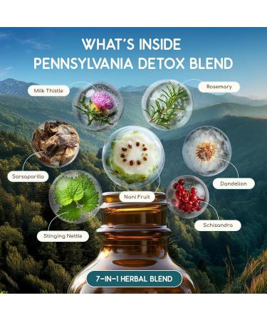 HerbEra Pennsylvania Herbal Detox Blend - USDA Organic Extract Made in USA | Immune & Liver Support Liquid Drops | Dandelion Root Milk Thistle Noni Sarsaparilla Schisandra | 2 fl oz - Buy Online on GoSupps.com