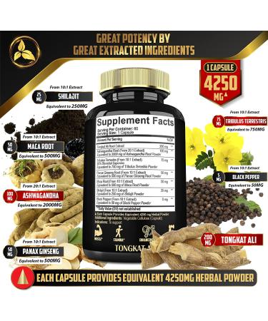 Mecisco Tongkat Ali for Men 4250mg 200:1 Extract - Energy, Stamina & Muscle Support - 7 High Concentrated Ingredients - 60 Capsules x 2 (120 Capsules Total) - Buy Online on GoSupps.com