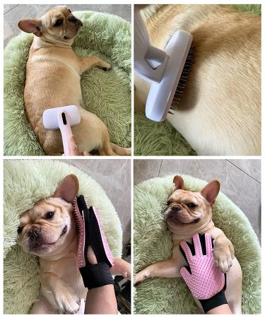 Coopupet 3-in-1 Pet Hair Brush Set: Self Cleaning Slicker Brush, Grooming Glove, Lint Remover - Ideal for Long & Short Haired Dogs & Cats - Reduces Shedding - Efficient Pet Hair Remover - Pink - Buy Online on GoSupps.com