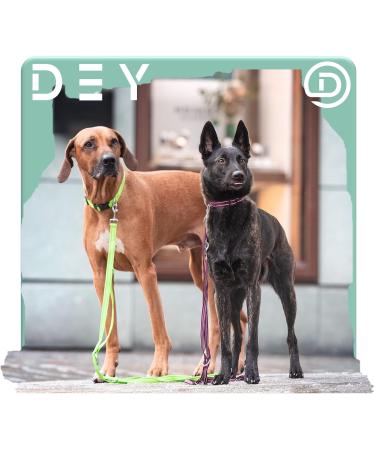 Buy Dey Premium Reflective Dog Collar - Adjustable Nylon for Small & Large Dogs - Multiple Colors & Sizes - Purple S (1.5 x 27-37 cm) - Durable & Stylish Cat & Puppy Neck Strap - Buy Online on GoSupps.com