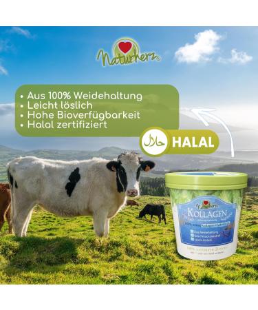 Naturherz Poudre de collag ne Beaut Kick | 250 g | 100 % de conservation du p turage | Haute biodisponibilit | Compl ment alimentaire | Go t neutre | Facilement soluble - Buy Online on GoSupps.com