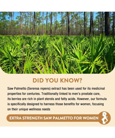 Saw Palmetto for Women Hair Loss - DHT Blocker with 5-in-1 Blend for Hair Growth Skin & Nails Urinary Wellness - Extra Strength Saw Palmetto Supplement - 90 Capsules 90 Count (Pack of 1) - Buy Online on GoSupps.com