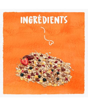 BJORG - Protein Muesli - Soy Dates Organic Red Fruits - No Added Sugars - 375 g - Buy Online on GoSupps.com