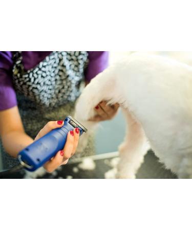 Andis UltraEdge Super 2-Speed Detachable Blade Clipper for Professional Animal Grooming - AGC2 Blue - Buy Online on GoSupps.com