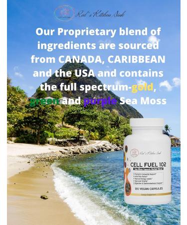 Cell Fuel 102 Sea Moss Capsules 120 ct. | Organic Irish Moss, Bladderwrack & Burdock Root | Vegan Dr Sebi Inspired Formula - Buy Online on GoSupps.com