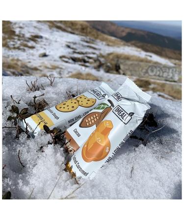 1Meal Cacao Protein Bar 16 Pack | High Protein Fiber-Rich No Added Sugar Vitamins D3 & K2 | Delicious & Fulfilling Snack - Buy Online on GoSupps.com