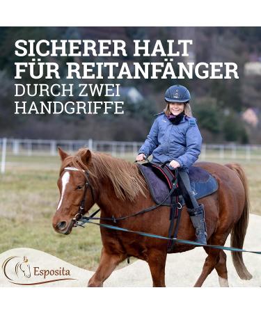 Esposita Riding Strap with Leather Handles - Versatile Lunging & Vaulting Belt for Kids & Riders - Shetty Red-Black - Buy Online on GoSupps.com