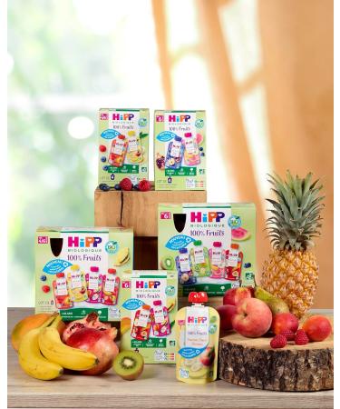 HiPP Organic Multipack Pouches 4 Varieties From 6 Months - 8 x 90g - Buy Online on GoSupps.com