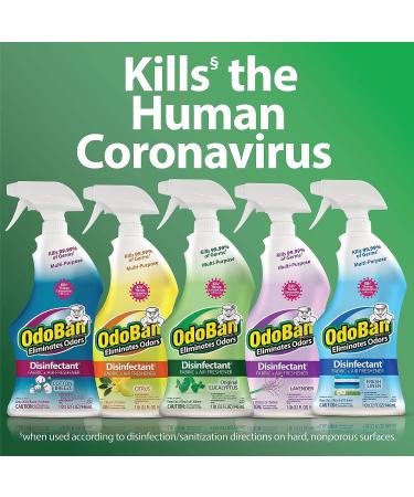 OdoBan 32 oz. Ready-to-Use Disinfectant & Odor Eliminator - Original Eucalyptus Scent - Buy Online on GoSupps.com