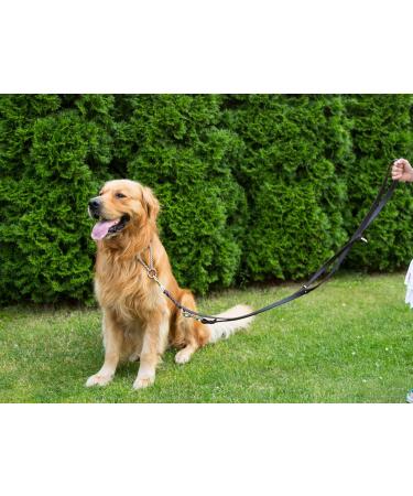 Premium COPCOPET 3-Way Adjustable Dog Leash | Handmade Fat Leather Dog Leash with Chrome Fittings | 2m x 8mm Green | International Shipping - Buy Online on GoSupps.com