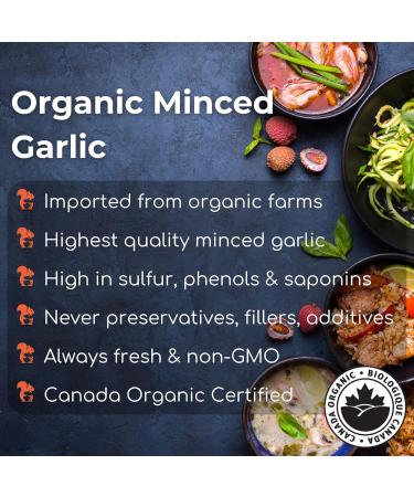 Organic Minced Garlic Dried 2oz (56g) High in Sulfur Phenols & Saponins Add Umami Essence & Savory Flavor Sprinkle Into Your Sauces Marinades or Rubs Minced Garlic 2oz (56g) - Buy Online on GoSupps.com