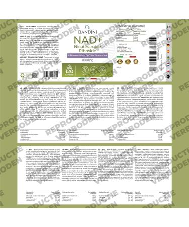 Bandini NAD+ liposomaal 120 capsules NAD supplement nicotinamide riboside chloride + Quercetine Resveratrol Coenzym Q10 Antiaging Energiemetabolisme 1100mg per portie 100 Vegan NonGMO - Buy Online on GoSupps.com