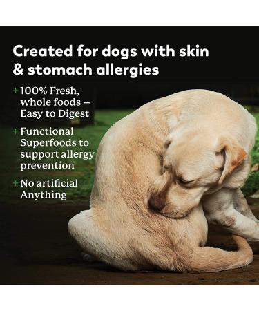 Dr. Harveys Specialty Diet Allergy Turkey Recipe  Human Grade Dog Food for Dogs with Sensitivities and Allergies 5 Pounds - Buy Online on GoSupps.com