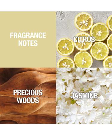 Alfred Sung Women's Perfume Shi Eau De Parfum EDP Spray 3.4 Fl Oz & Women's Fragrance Sung Eau De Toilette EDT Spray 3.4 Fl Oz 3.4 Ounce (Pack of 1) + 3.4 Fl Oz (Pack of 1) - Buy Online on GoSupps.com