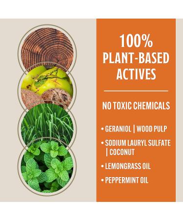 Grandpa Gus's Tick Repellent Spray with Plant-Based Actives  No DEET  4 oz  Pack of 2 - Buy Online on GoSupps.com