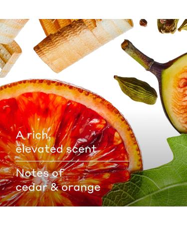 Harry's Men's Body Wash - Fig - 30 fl oz - Shower Gel for Men - No Parabens, Sulfates, or Dyes - Buy Online on GoSupps.com