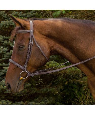 Henri de Rivel Havana Cob Bridle with Padded Fancy Raised Design and Laced Reins - Buy Online on GoSupps.com