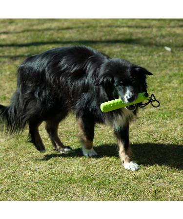 Procyon Snack Dummy Silicone | Soft Hollow Weatherproof & Hygienic Retrieving Dummy - Dishwasher Safe - Green - Buy Online on GoSupps.com