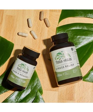 TERRA ORIGIN Healthy Mind and Memory Support Supplement | Cognitive Memory Matrix | Nootropic CDP Bacopa L-Tyrosine Huperzine A Ginko B12 | Non GMO Gluten Free Dairy Free | 30 Capsules - Buy Online on GoSupps.com