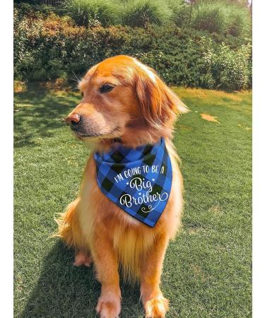 MaySunset I'm Going to Be a Big Brother Dog Bandanas Pet Baby Bulletin Plaid Dog Scarf Gender Revealing Photo Props Pet Dog Photo Props Accessories Blue Small - Buy Online on GoSupps.com