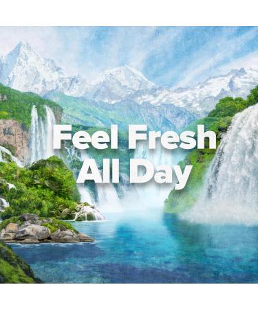 Irish Spring Original Clean Body Wash 20 Oz 2 Pack & Speed Stick Men's Deodorant Regular 3 Ounce 4 Pack - Buy Online on GoSupps.com