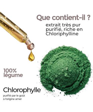 Chlorophyll Liquid Drops 100ml | Purified Chlorophyll Antioxidant & Detoxifying - Liver & Gut Colon Detox | Vegetable Glyceric Macerate | J.Armor Pharma - Buy Online on GoSupps.com