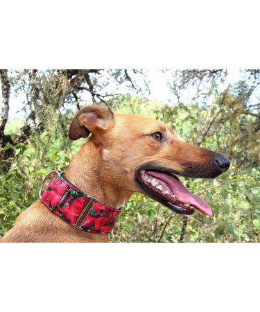 Buy candyPet Martingale Dog Collar - Strawberries | SPECIAL WIDTH L - 5 cm (30-50 cm) | International Shipping Available - Buy Online on GoSupps.com