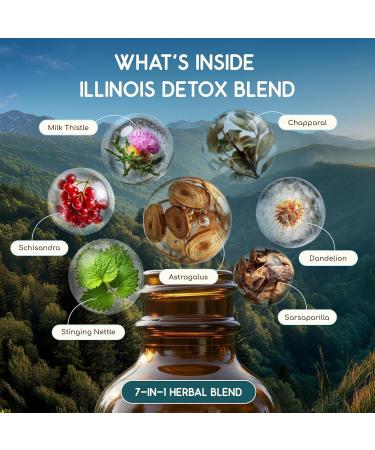 HerbEra Illinois Herbal Detox Blend - USDA Organic Extract Made in USA | Immune & Liver Support Liquid Drops | Astragalus Dandelion Root Milk Thistle Sarsaparilla | 2 fl oz - Buy Online on GoSupps.com