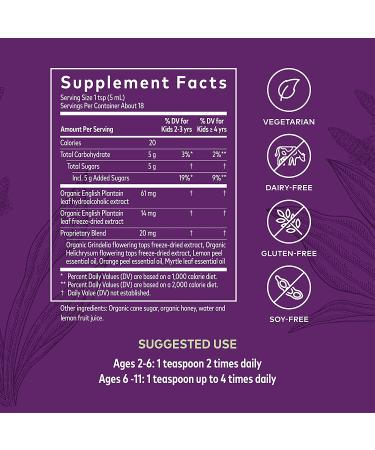 Gaia Kids Bronchial Wellness Syrup - Organic Honey Lemon Flavor | Immune Health Support  3 Fl Oz - Buy Online on GoSupps.com
