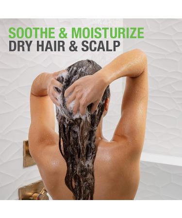 Neutrogena Soothing & Calming Healthy Scalp Shampoo with Tea Tree Oil - 12oz | pH-Balanced, Paraben-Free, Phthalate-Free - Ideal for Dry Scalp & Color-Treated Hair - Buy Online on GoSupps.com