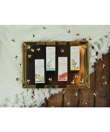 Birch Rescue Lip Balm with Betulin - Buy Online on GoSupps.com