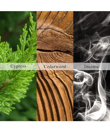 ALLSAINTS INCENSE CITY by Allsaints EAU DE PARFUM SPRAY 3.4 OZ - Buy Online on GoSupps.com