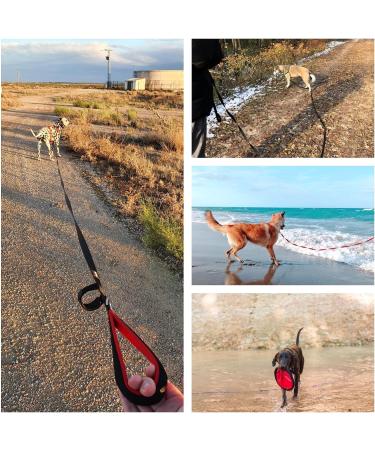 Pettom Drag Line for Dogs - Robust 6m/10m/15m Leash with Padded Handle | Durable Nylon Training Line | Perfect for Cross-Country Adventures - Buy Online on GoSupps.com