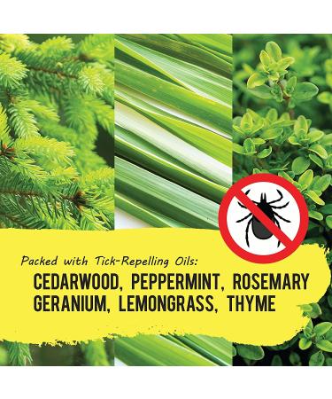 TICK BAN Yaya Organics All Natural Extra Strength Tick Repellent - DEET Free 4oz Spray - Buy Online on GoSupps.com