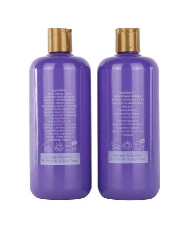 Moisture Renewal Anti Dandruff Shampoo & Conditioner Set | Organic Itchy Scalp Treatment for All Hair Types - 100% Natural & Safe - Buy Online on GoSupps.com