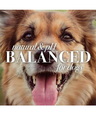 Burt's Bees Whitening Shampoo for Dogs - Papaya & Yogurt - 16 fl oz - Buy Online on GoSupps.com