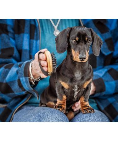 Mikki Bamboo Moulting Massage Palm Brush for Gentle Grooming | Handmade Sustainable Bamboo Brush for Dog Cat Puppy with Short Medium Coats - Buy Online on GoSupps.com
