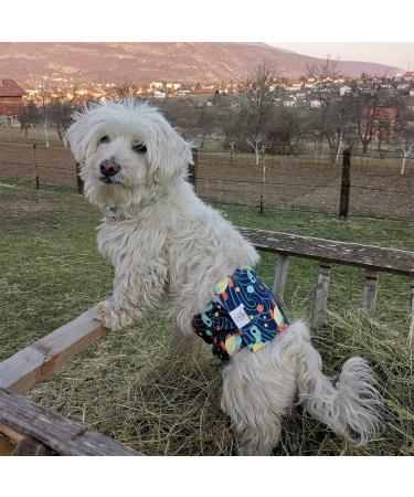 Cuteebone Dog Diapers for Male Dogs - Washable & Reusable Belly Bands (3 Pack) | Perfect Solution for Training & Travel - Buy Online on GoSupps.com