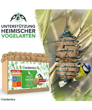 Gardemics Insect Dumplings for Wild Birds - 9 kg (100 Pieces) | Year-Round Protein Feed for Garden Biodiversity - Buy Online on GoSupps.com